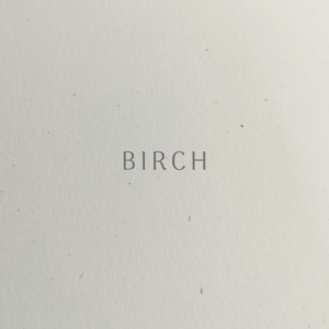 RJ Paper | Mohawk Vellum Birch